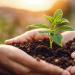 abundancia consciente
